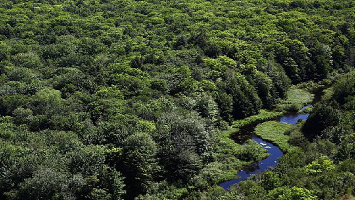En ‘Día de la Tierra’ Biden firma orden para proteger bosques de Estados Unidos