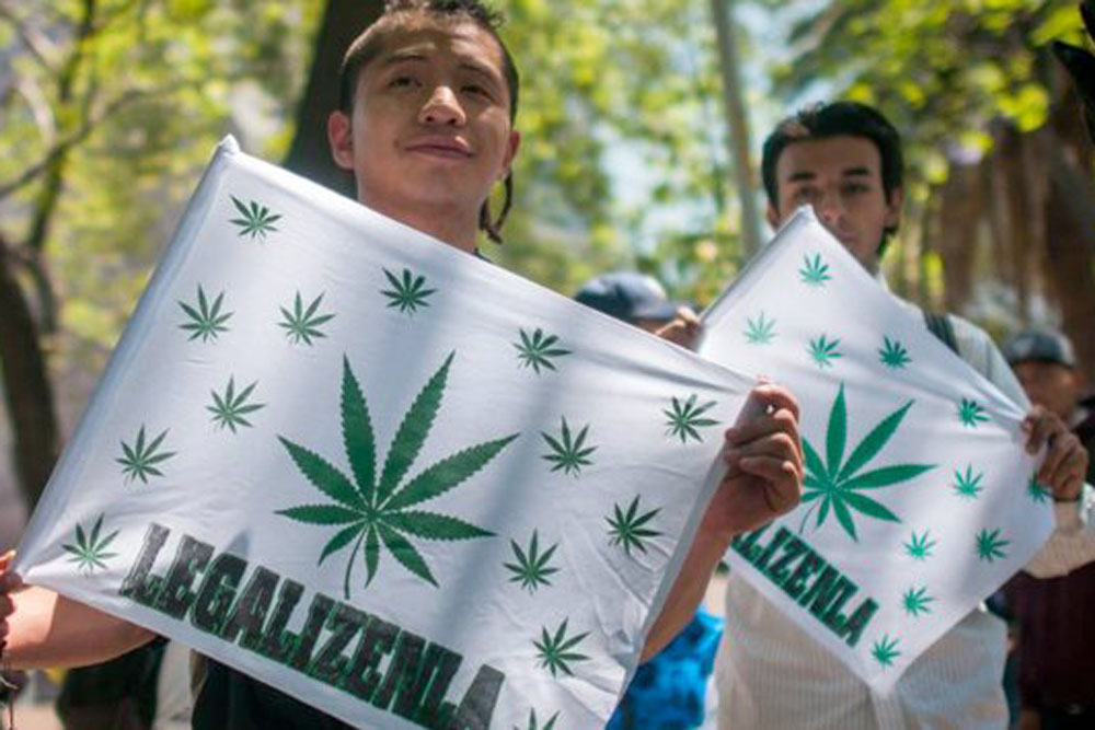¡Feliz 420! Rechaza Corte penalizar posesión de mariguana ante cualquier cantidad