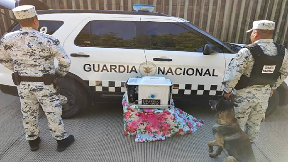 ¡La escondían en microondas! Guardia Nacional asegura metanfetaminas en Sinaloa