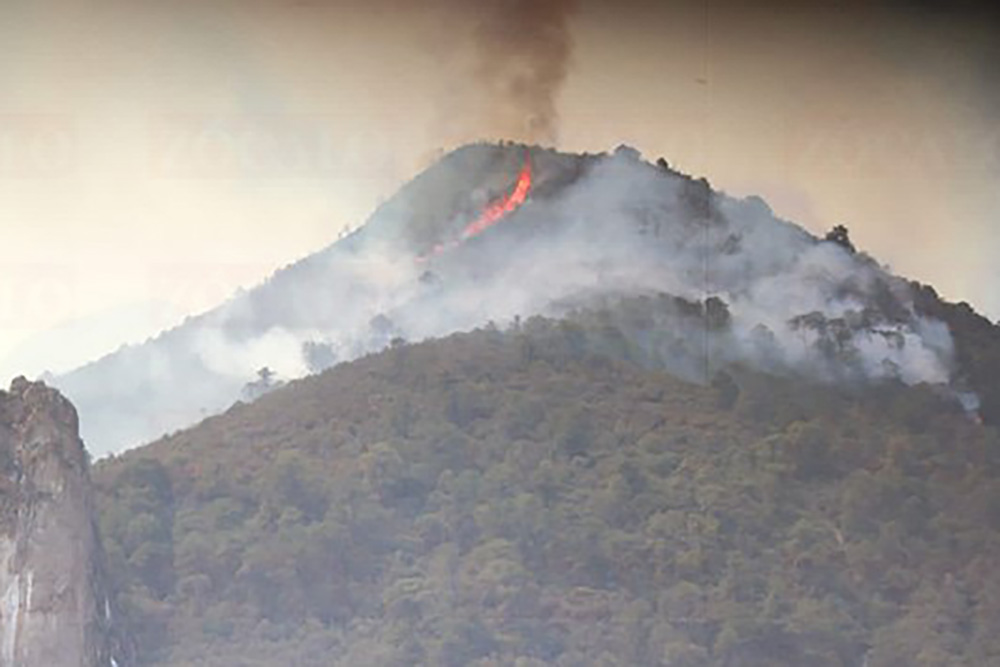 Casi se triplica zona afectada por incendio en una sola noche en el Cañón de San Lorenzo
