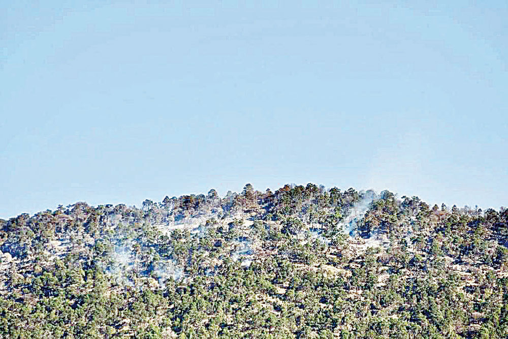 Controlan 90% fuego en Sierra Maderas
