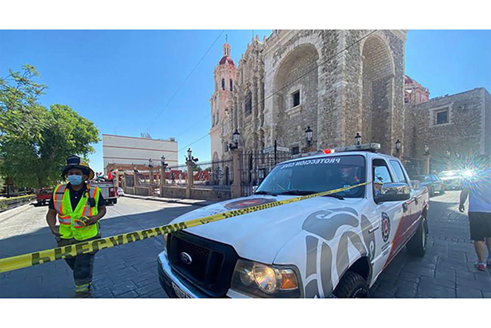 Ataca enjambre de abejas a feligreses de Catedral de Saltillo; suspenden misas
