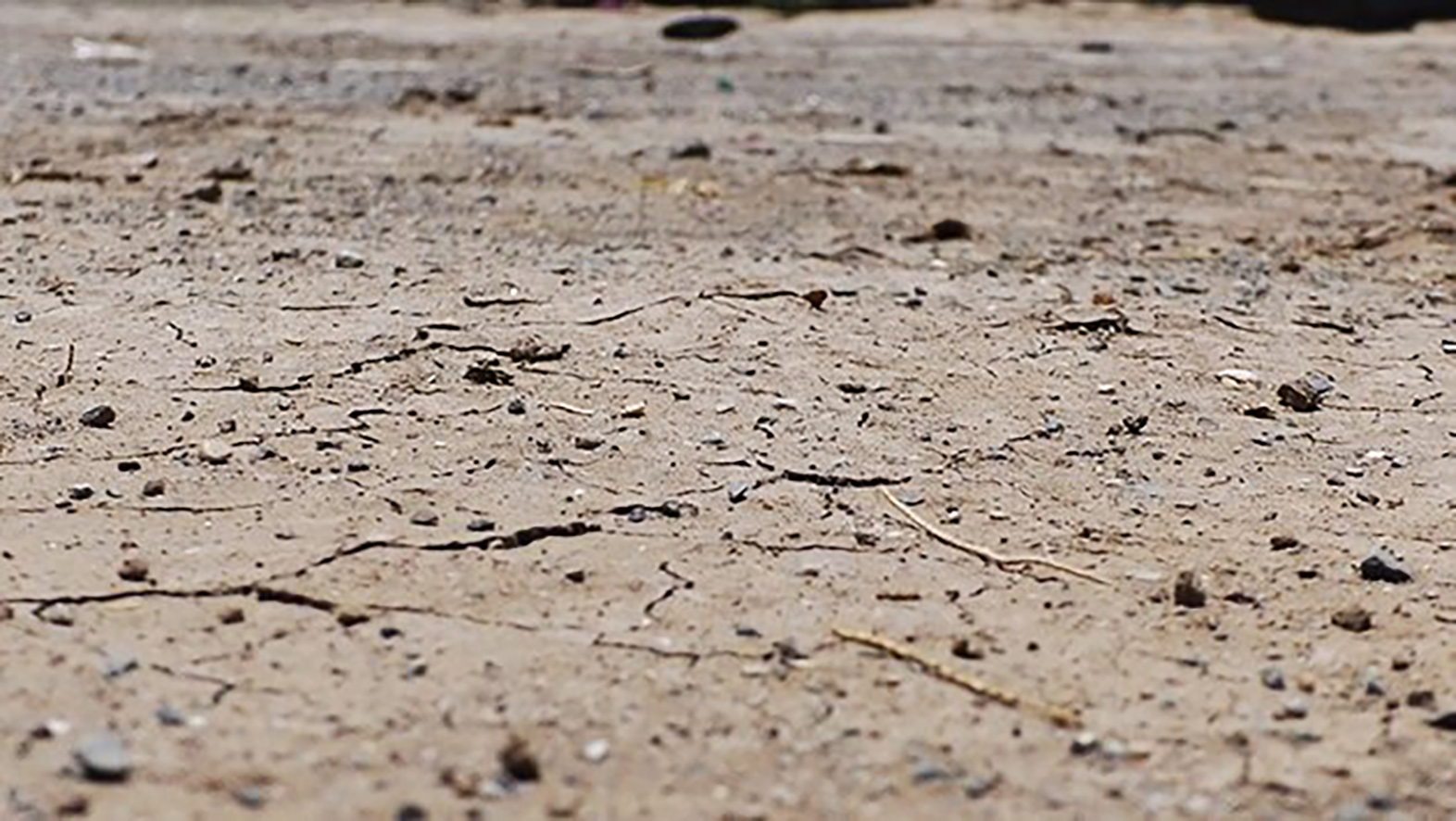 Acecha sequía a las Barrancas en General Cepeda; cumple 10 meses sin presencia de lluvia