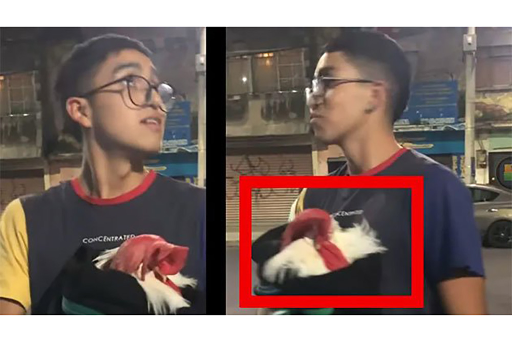 ‘¡Las criaturas!’: Joven se vuelve viral por salir de casa con su gallo envuelto en cobija tras sismo en CDMX