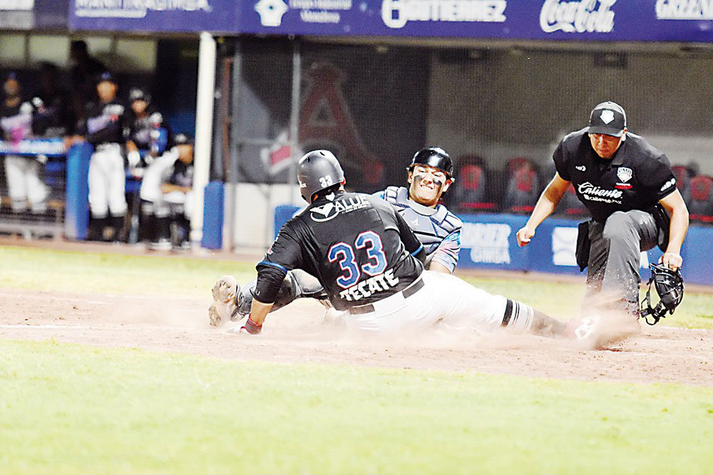 Apuestan por el beisbol de invierno