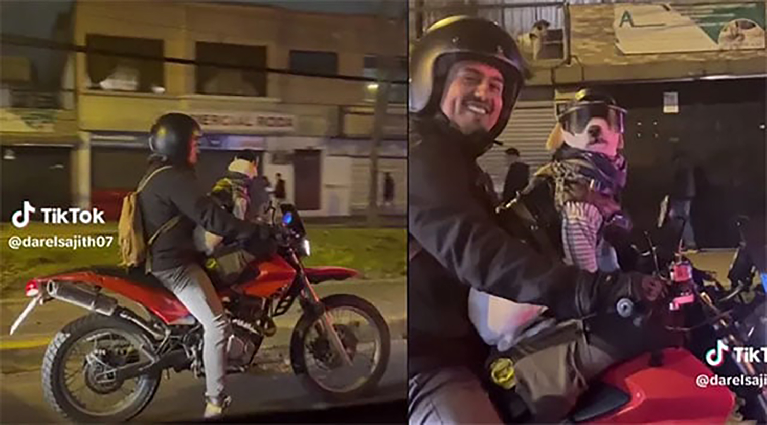 VIDEO: Perro motociclista de TikTok conquista internet