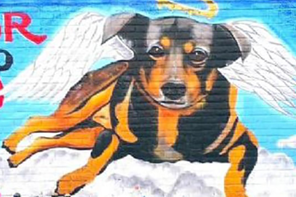 El emotivo mural que un artista urbano pintó para Scooby, el perrito que murió en aceite hirviendo