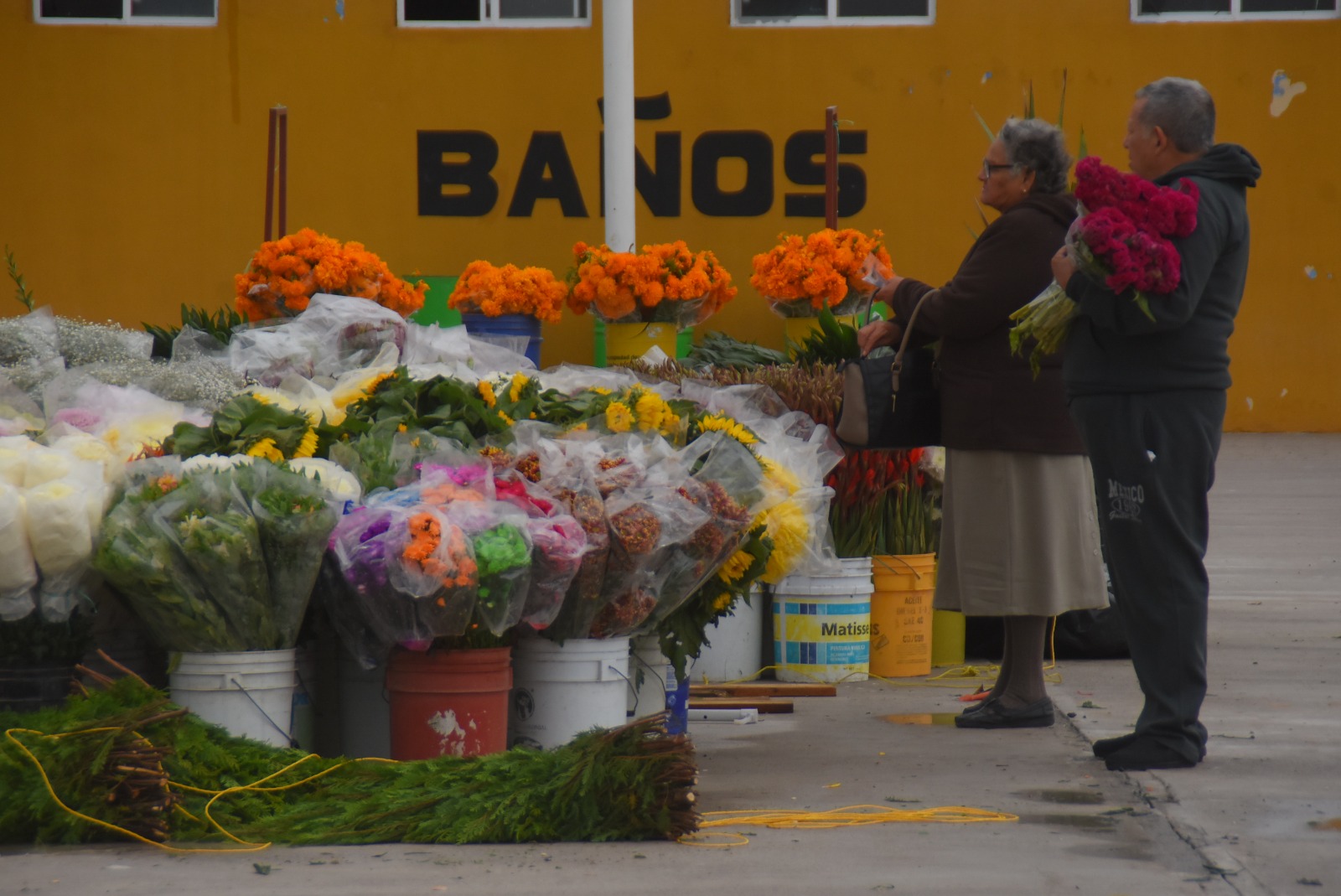 Ofrecen flores a bajos precios para día de muertos