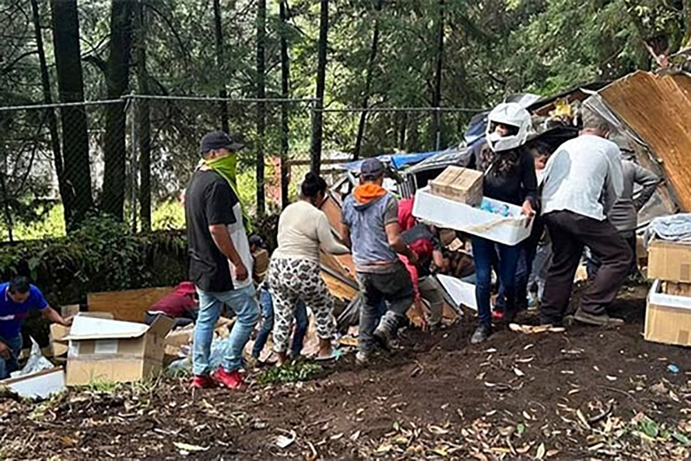 Se roban víveres que iban para Acapulco tras volcadura de camioneta