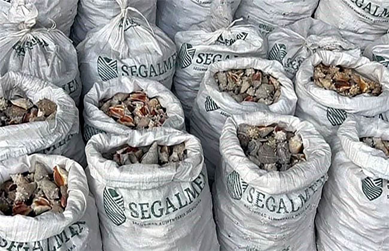 Hong Kong decomisa cargamento de metanfetamina en costales con logo de Segalmex
