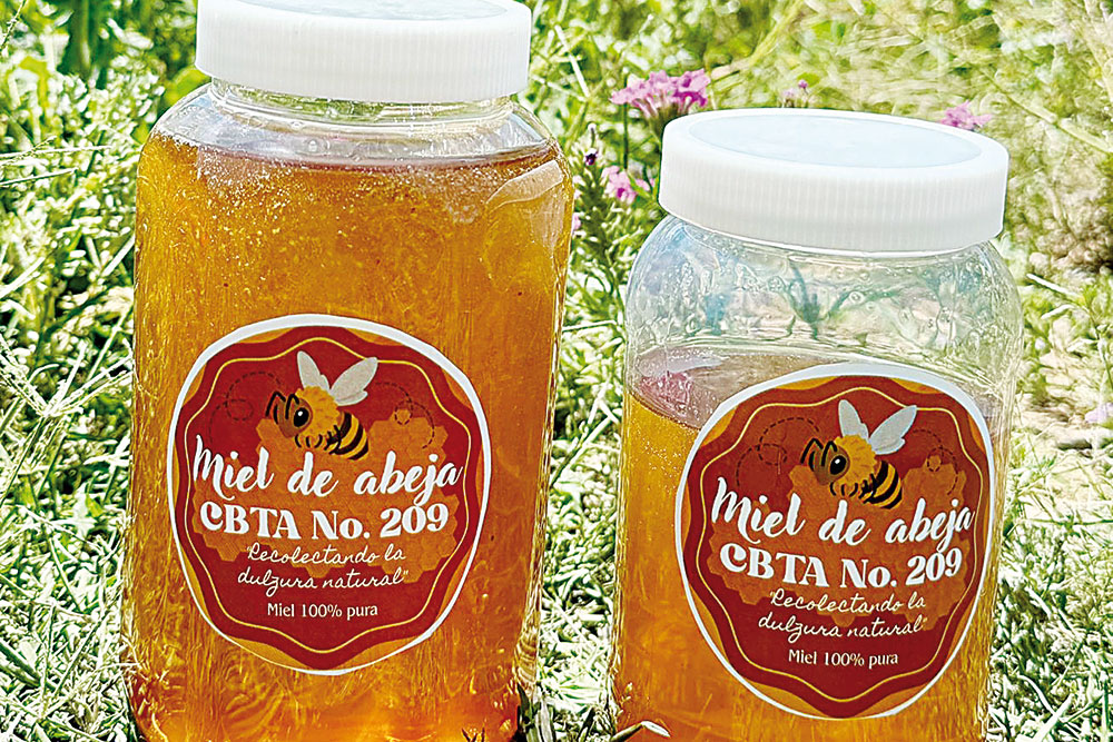 Producen miel de abeja en CBTa 209
