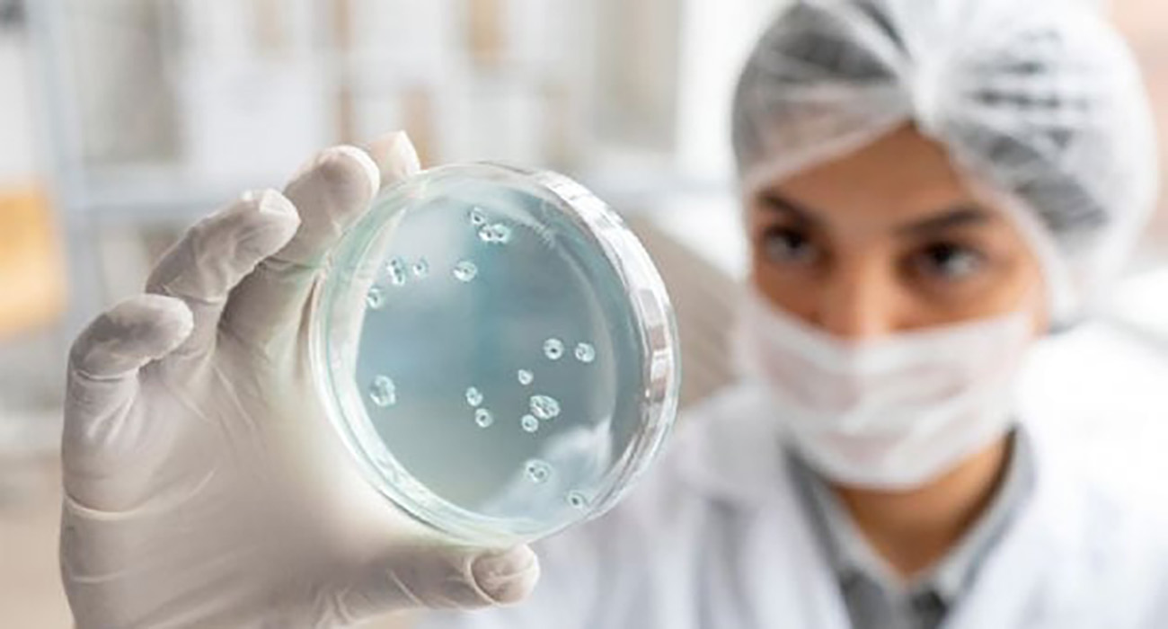 Hallan bacteria resistente a todos los medicamentos en la Estación Espacial Internacional ¿cómo llegó ahí?