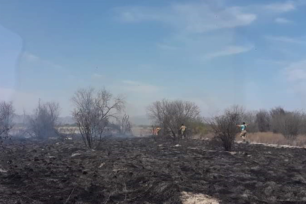 Logran sofocar incendio en parcelas de Escobedo
