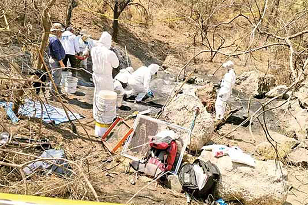 Son restos de perros, no de personas: Fiscalía descarta fosa clandestina entre Iztapalapa y Tláhuac