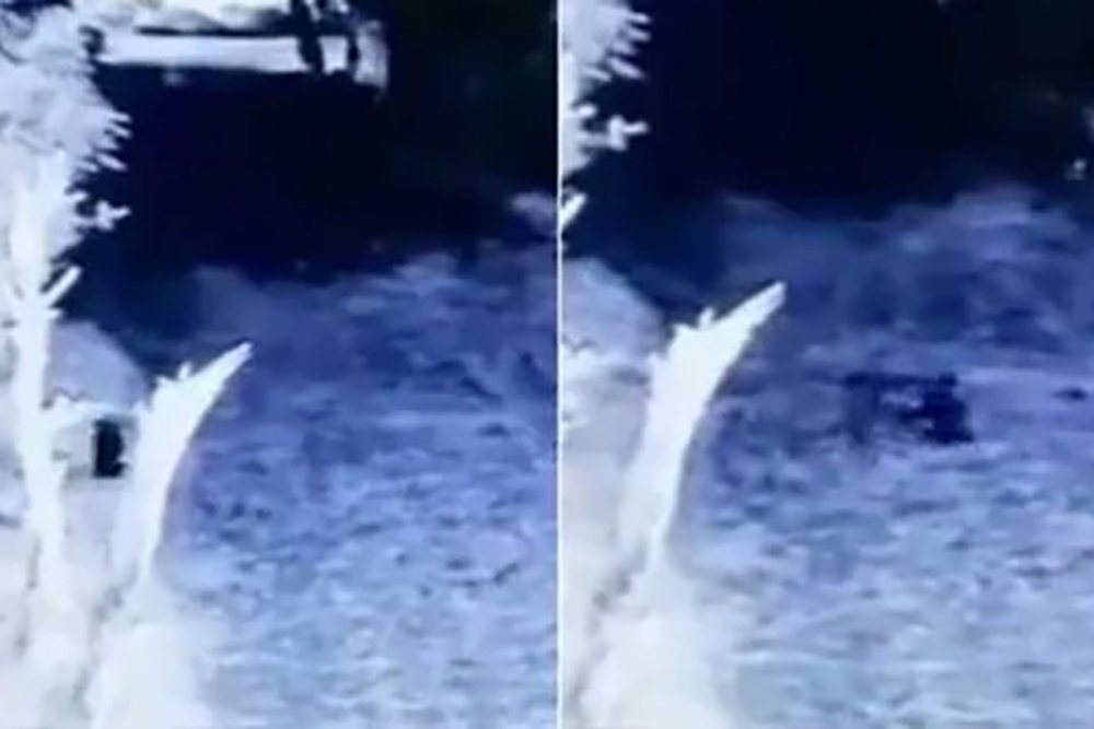 Video viral: Sorprendente avistamiento de un supuesto duende en una finca de Monterrey