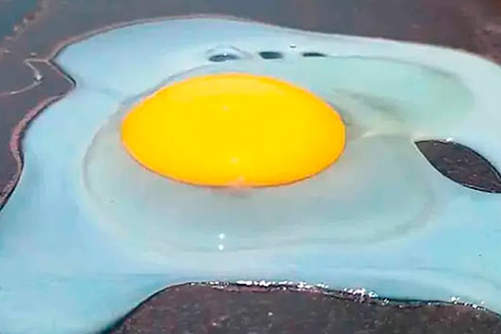 Así se coció un huevo en el pavimento ante intensa ola de calor en Veracruz
