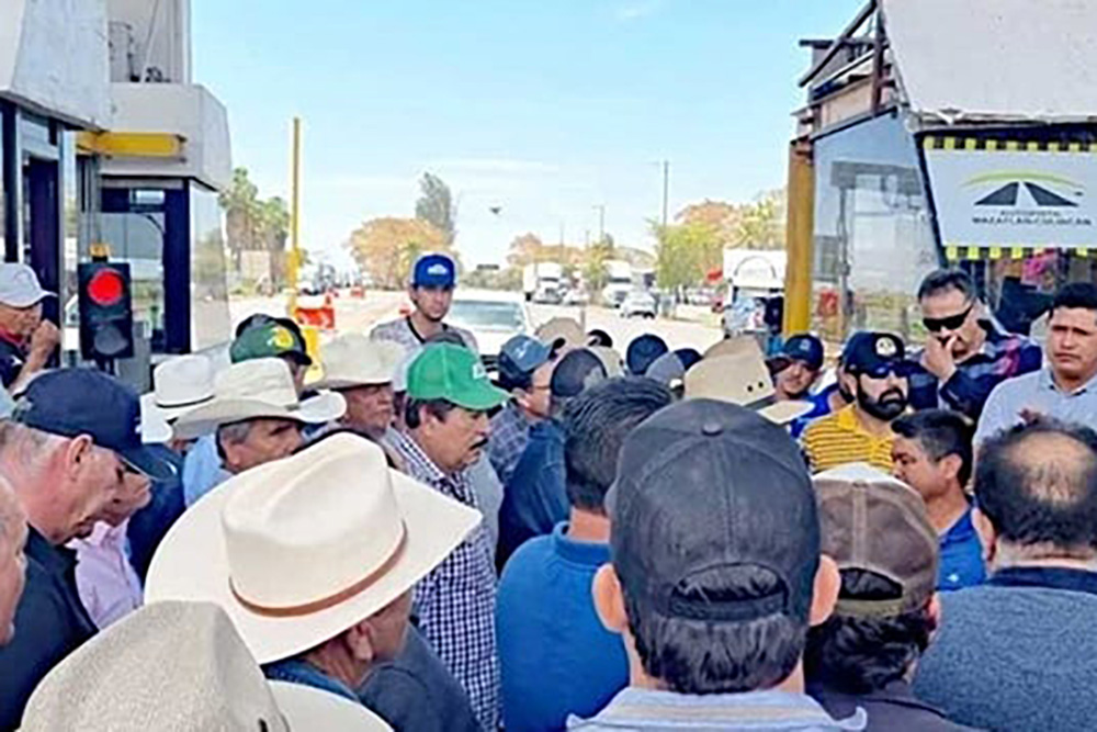 Reitera Sinaloa precio de maíz; es insuficiente, advierten