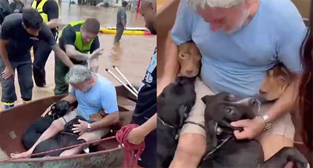 INTERNACIONAL Hombre conmueve en las redes tras rescatar a sus perritos de las inundaciones de Brasil