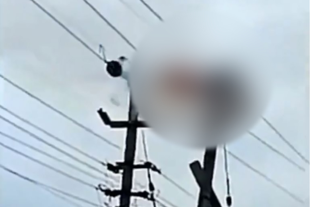 IMÁGENES FUERTES: empleado de electricidad se atora en los cables y muere al recibir una descarga de 11 mil voltios