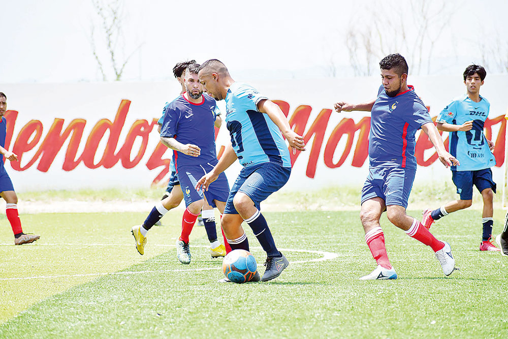 Cava Pumas en el sótano