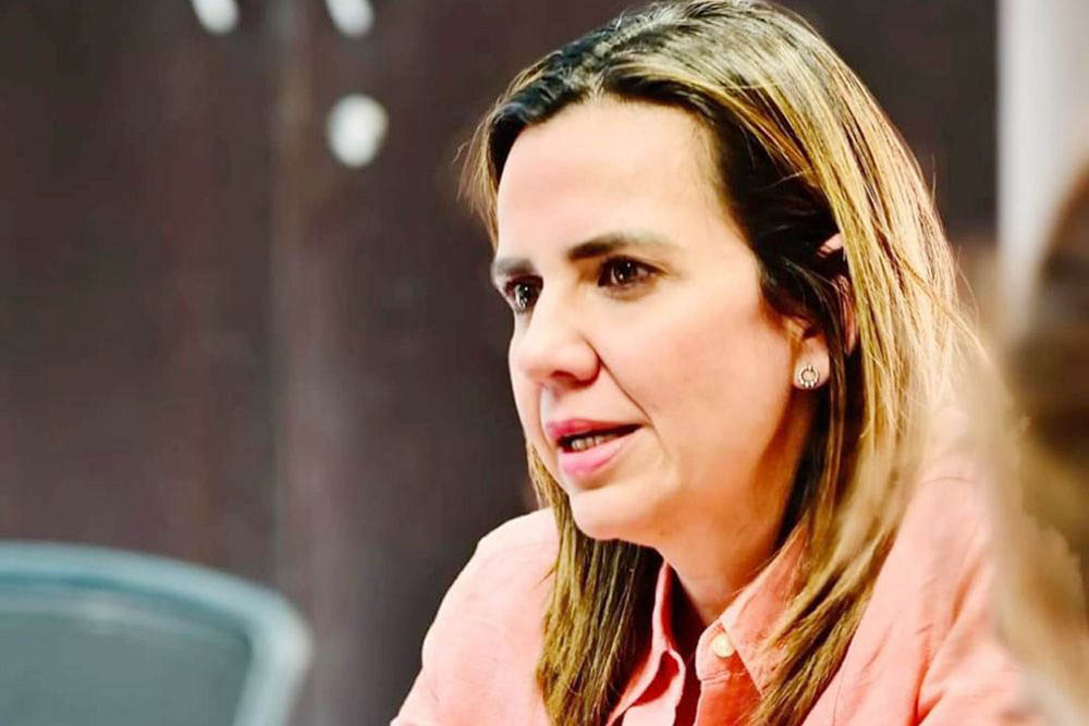 Dio Gobierno Federal esperanzas pero no soluciones a AHMSA: Diputada