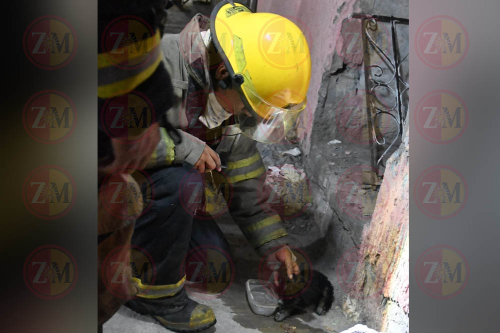 Bomberos rescatan a cachorro de morir calcinado