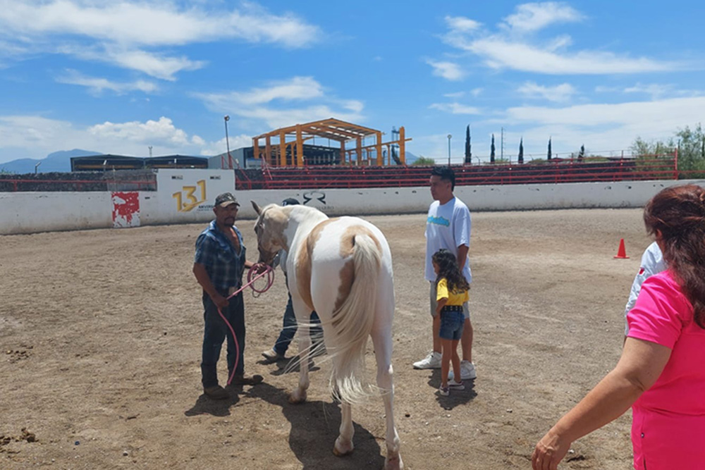 Caballos, una terapia alternativa para niños en Frontera