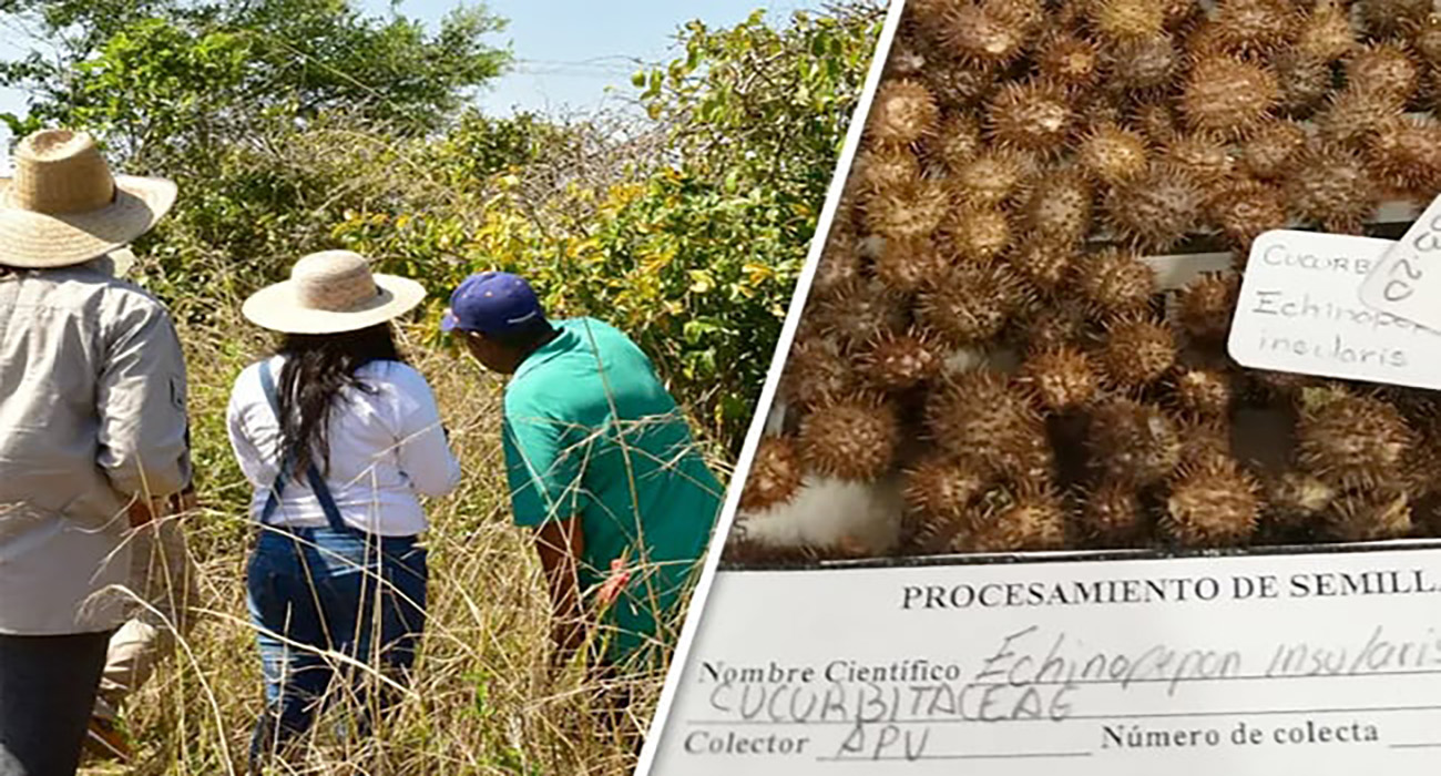 Edomex mantiene el resguardo de especies silvestres nativas de México