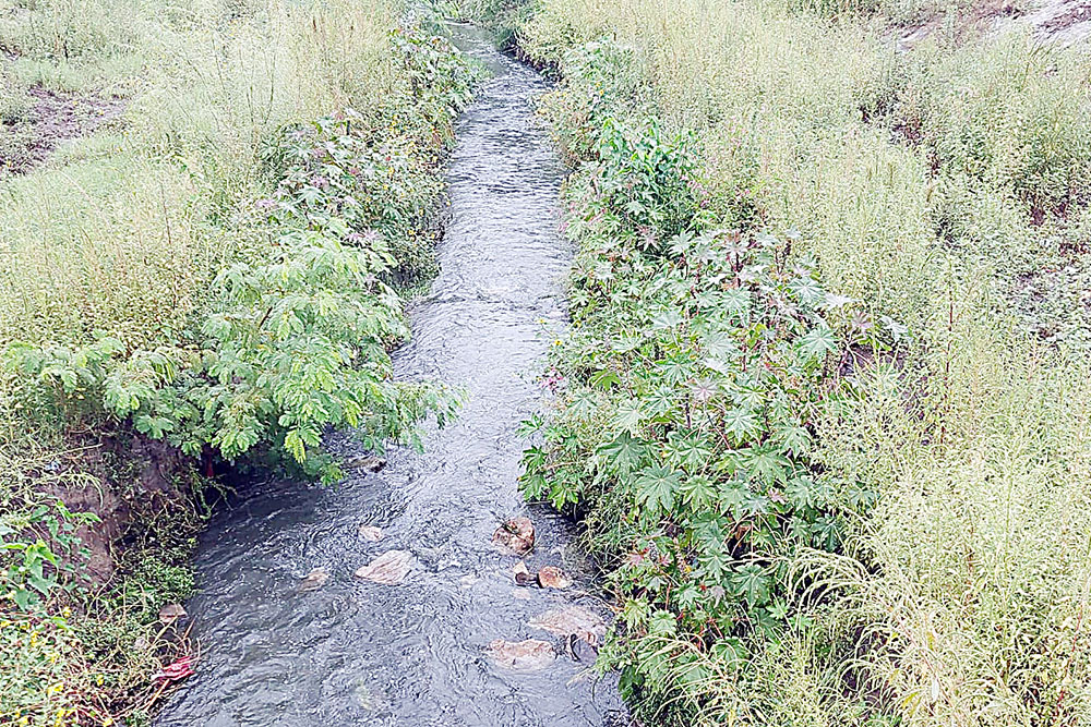 Renace arroyo Frontera … ¡y se lleva la basura!