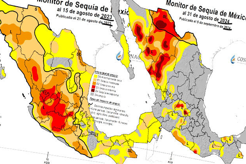 Aminoran lluvias sequía en Coahuila