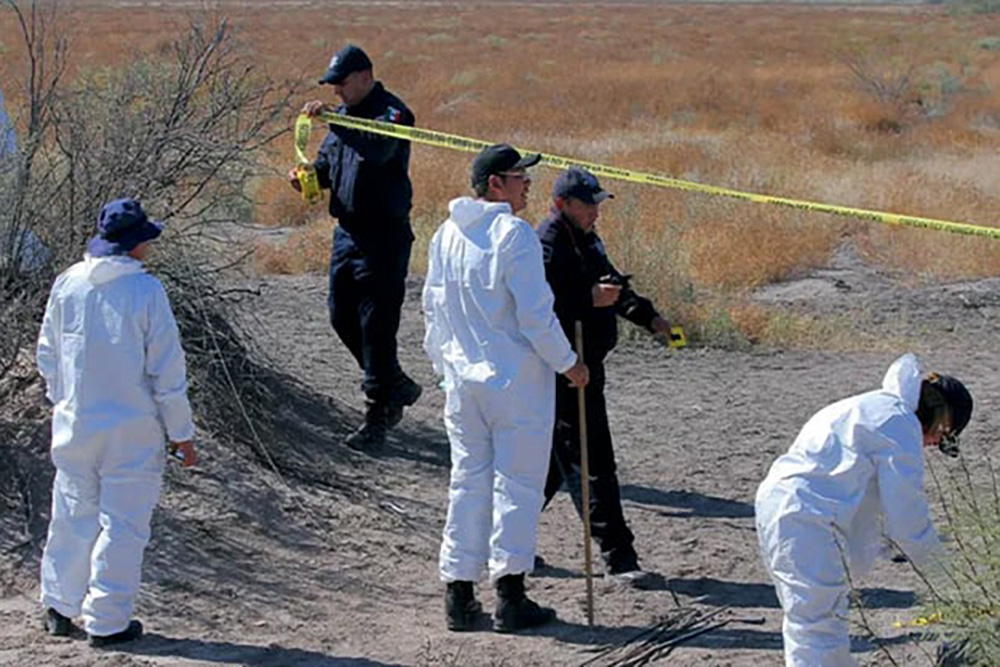 Ubican en Coahuila 5 fosas clandestinas; dan resultado 10 días de búsqueda