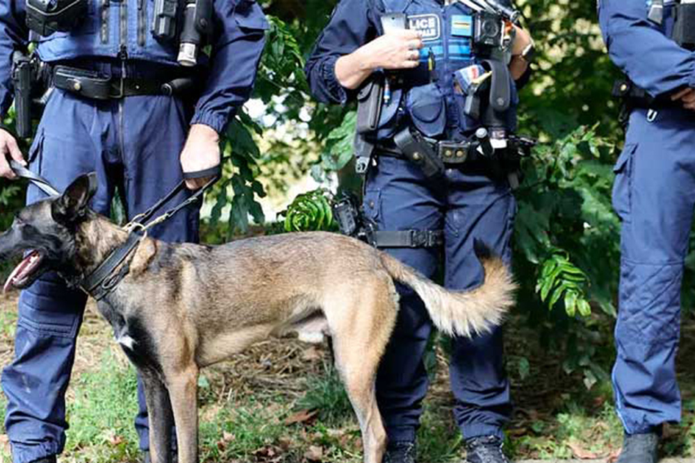 Apuñalan 50 veces y queman vivo a adolescente por conflicto de drogas en Francia