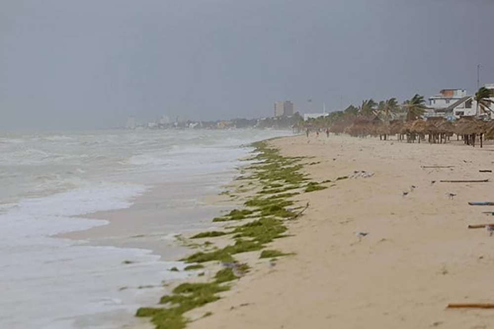 Rescata Semar a cuatro de los 15 pescadores desaparecidos en Yucatán por ‘Milton’